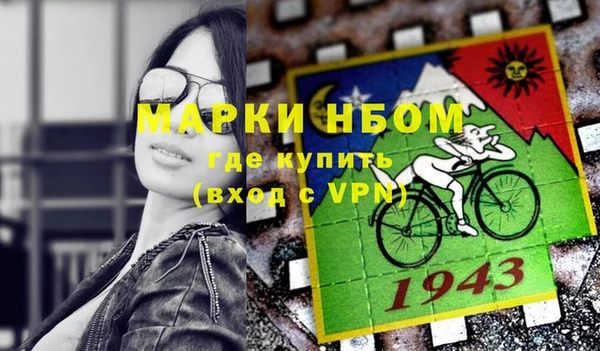 мдпв Елабуга