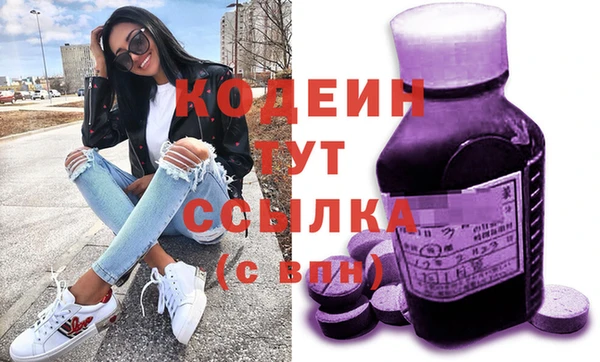 мдпв Елабуга