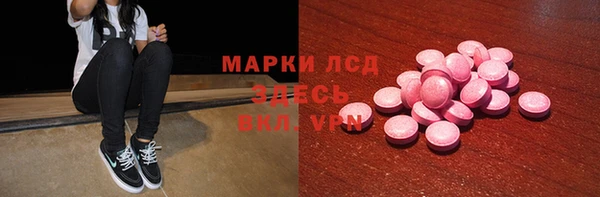 мдпв Елабуга