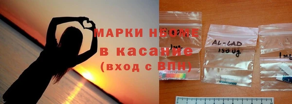 прущие грибы Дмитриев