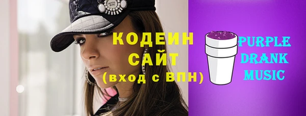 мдпв Елабуга