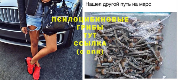 мдпв Елабуга