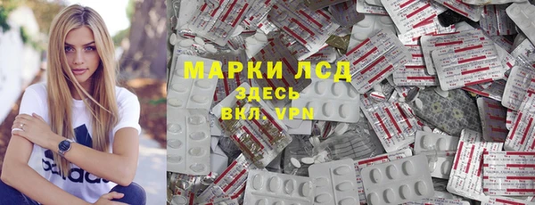 прущие грибы Дмитриев