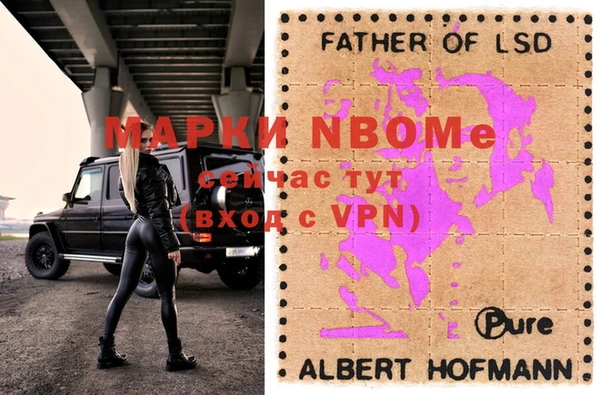 прущие грибы Дмитриев