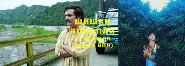 первитин Ельня