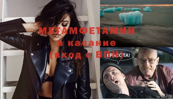 прущие грибы Дмитриев