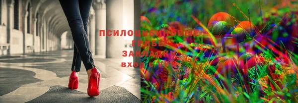 первитин Ельня