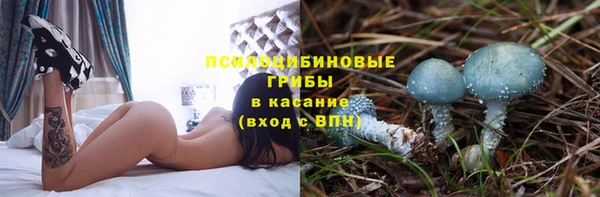 первитин Ельня