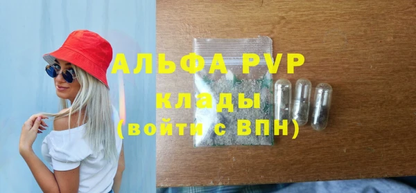 мдпв Елабуга