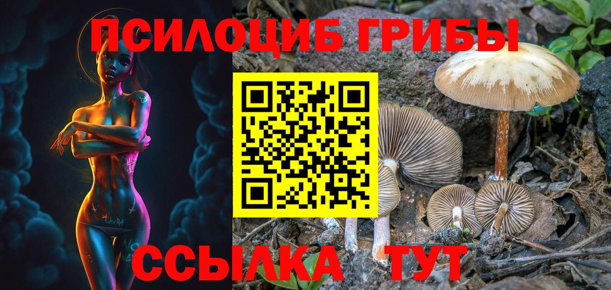 Псилоцибиновые грибы прущие грибы Железноводск